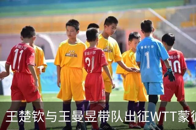 王楚钦与王曼昱带队出征WTT蒙彼利埃冠军赛